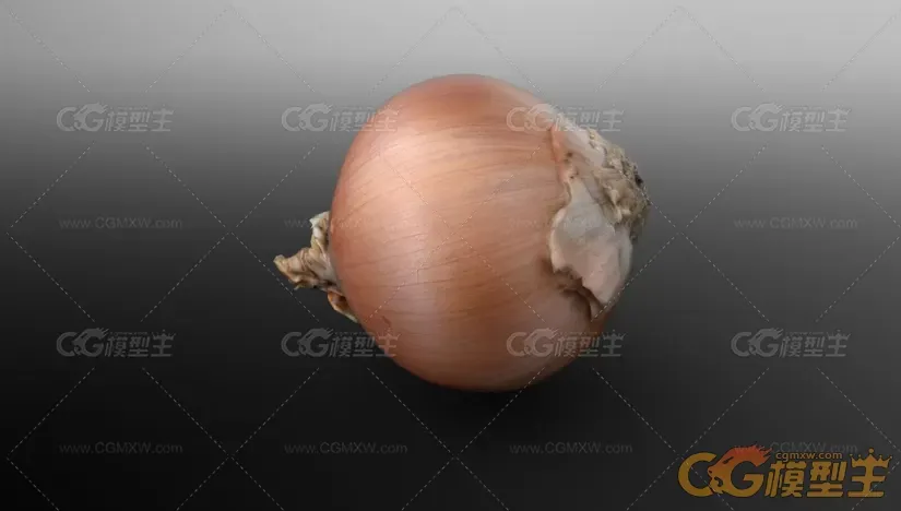 写实次世代材质洋葱3D模型-4