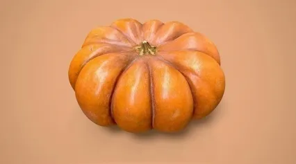 南瓜 倭瓜 蔬菜 