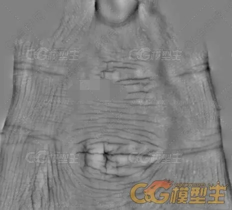 人体3D皮肤纹理 TIF超清图置换贴图合辑-5