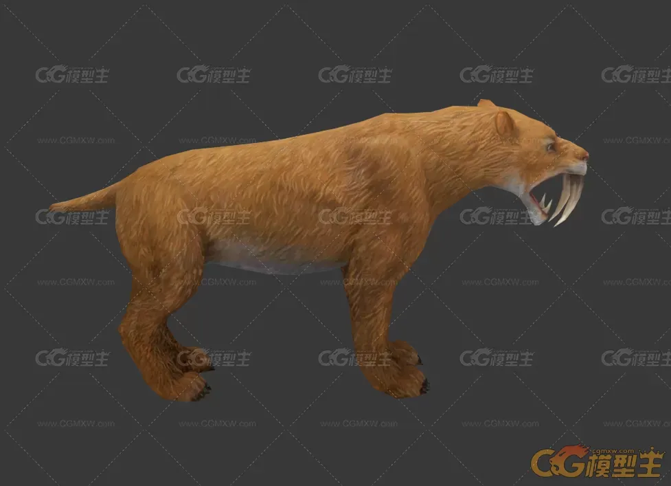 剑齿虎3D模型-2