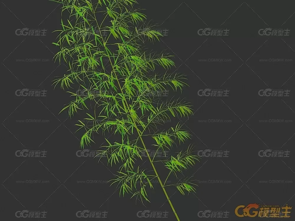 翠竹 竹子模型-2