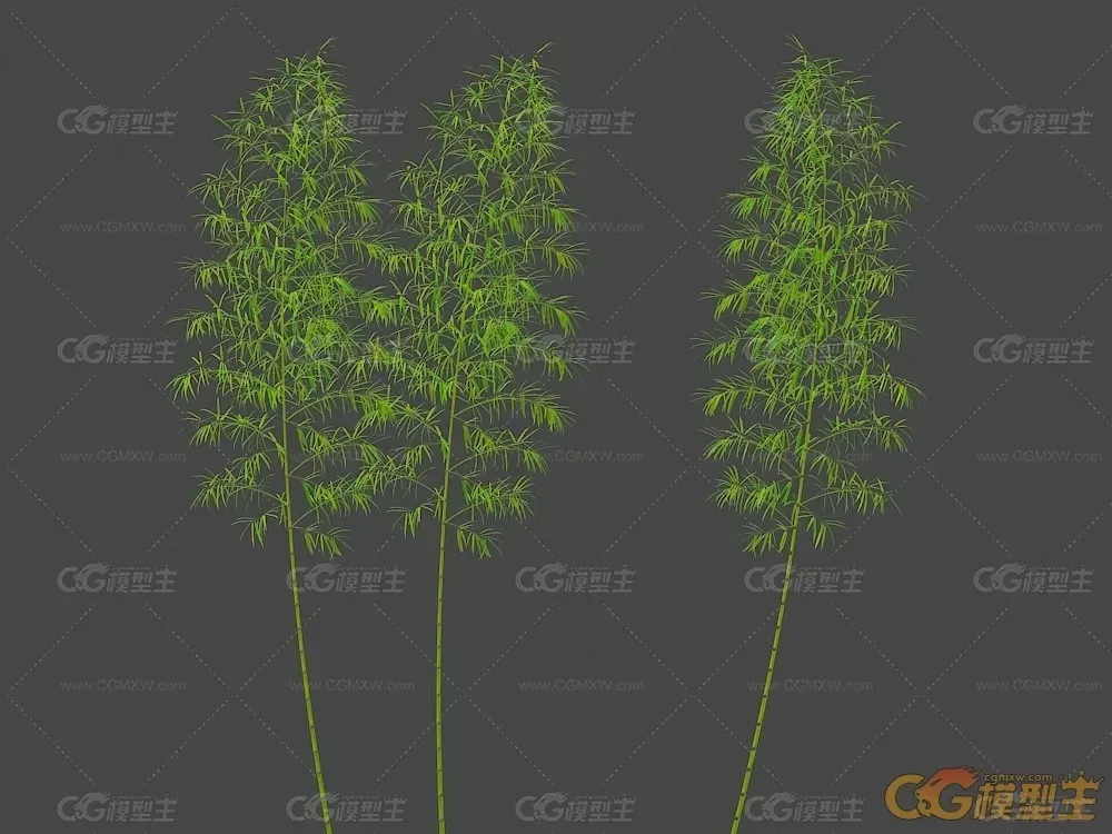 翠竹 竹子模型-3