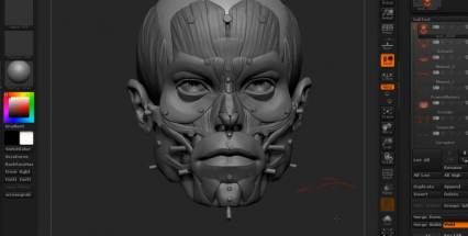 ZBrush人体解剖学大师班视频教程 10G