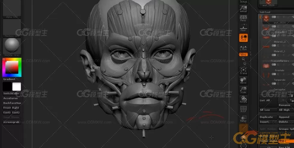 ZBrush人体解剖学大师班视频教程 10G-1