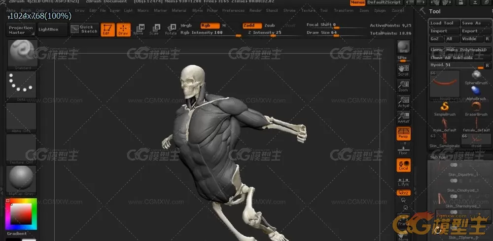 ZBrush人体解剖学大师班视频教程 10G-3