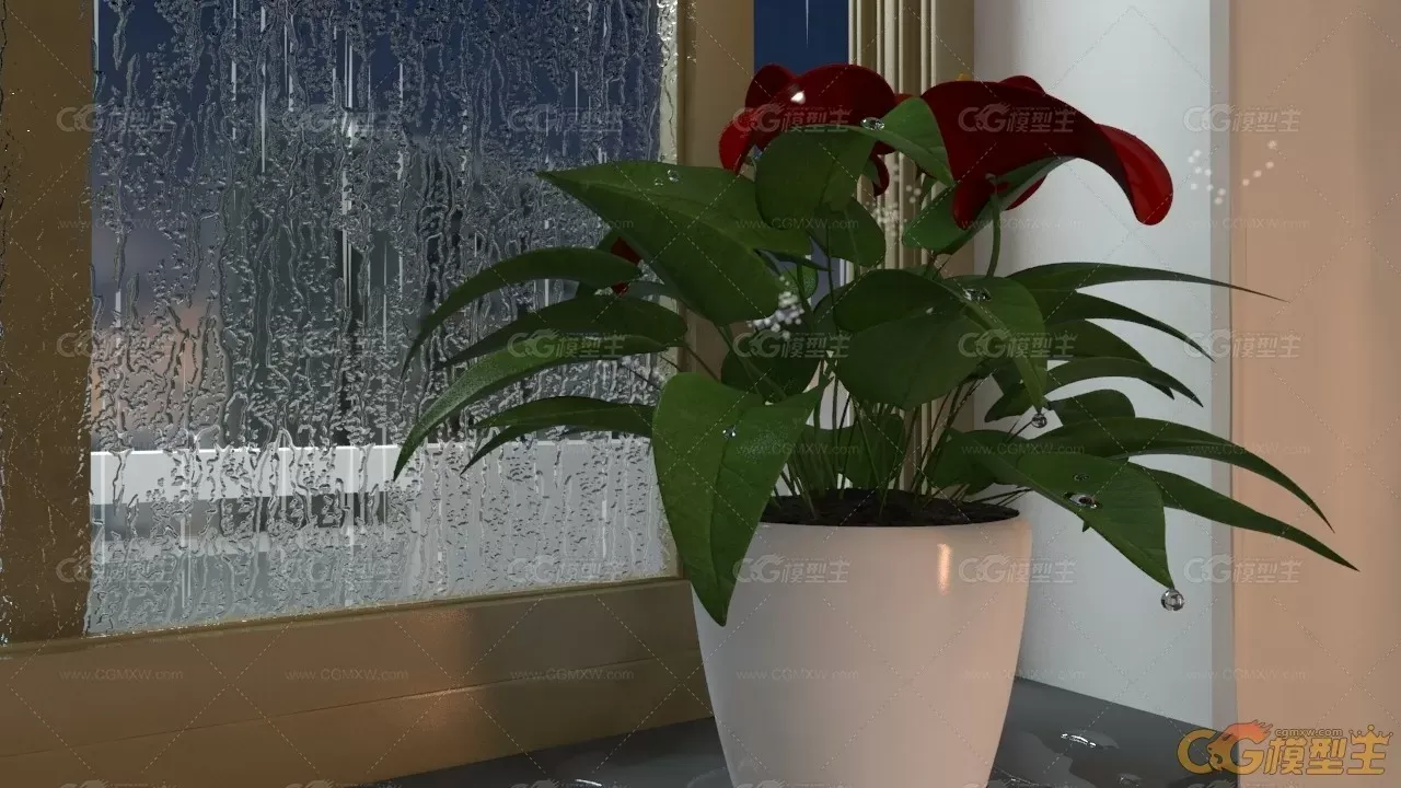 窗台 盆栽 花 花上水珠-1