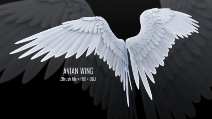 鸟类翅膀模型（ZBrush Avian Wing + FBX +OBJ)