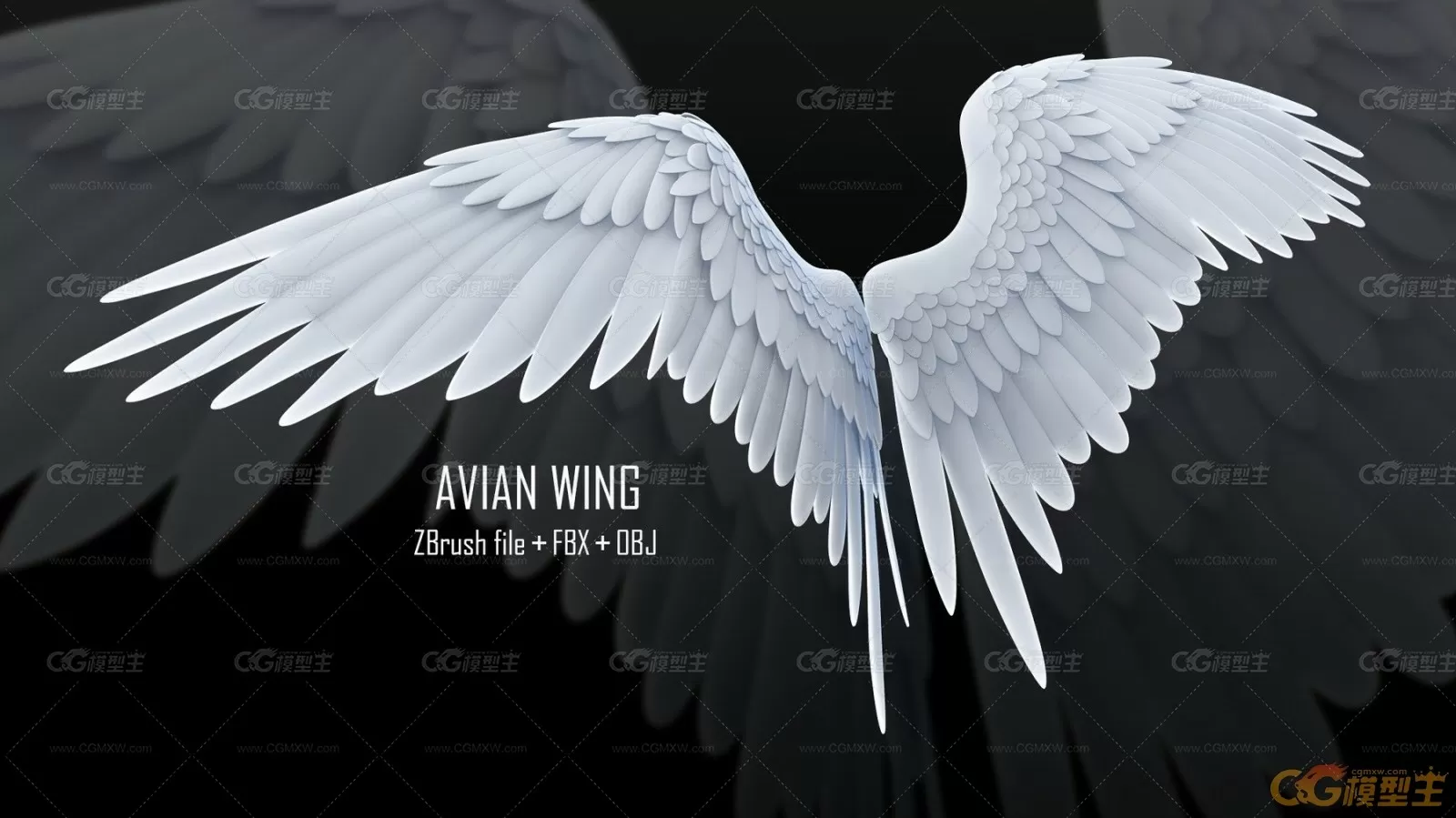 鸟类翅膀模型（ZBrush Avian Wing + FBX +OBJ)-1