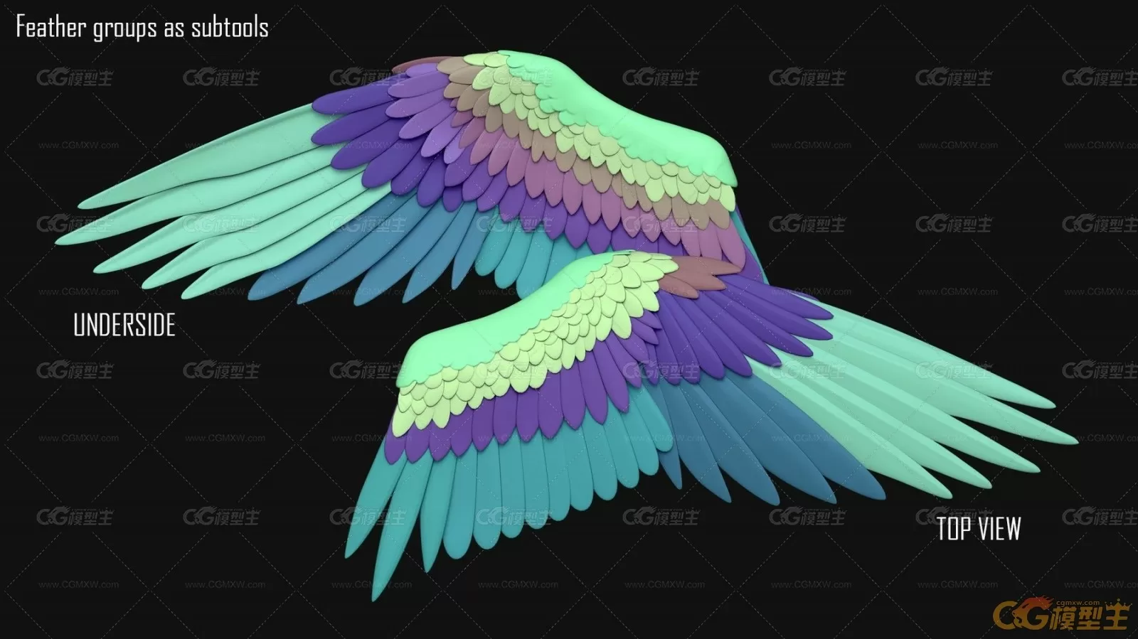 鸟类翅膀模型（ZBrush Avian Wing + FBX +OBJ)-4