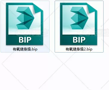 有氧健身操bip舞蹈动作-3