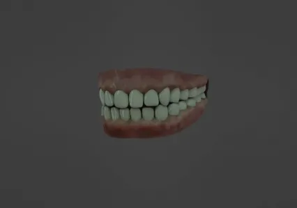 口腔，牙齿3D模型