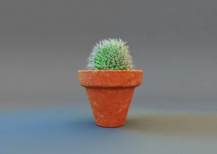 仙人球盆栽模型