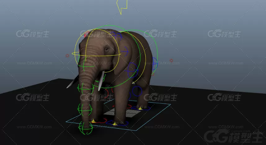 大象maya模型 带绑定-3