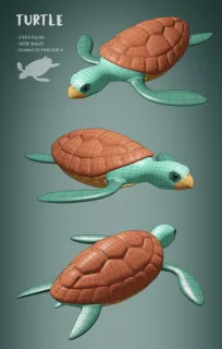 海龟