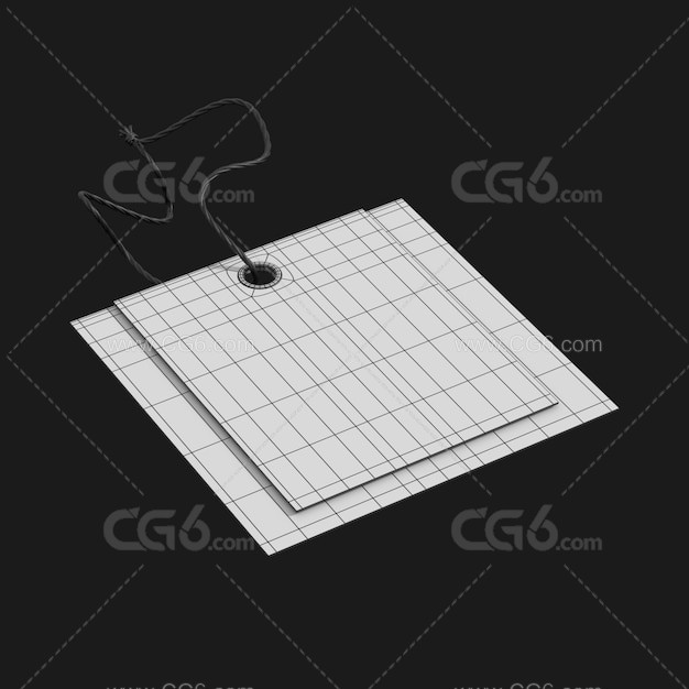 标签 纸板标签 标签 静止的 双标签 双标签-4