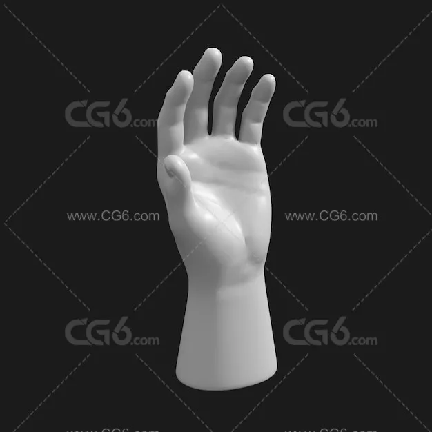 人体模型 模特手 模特手-3