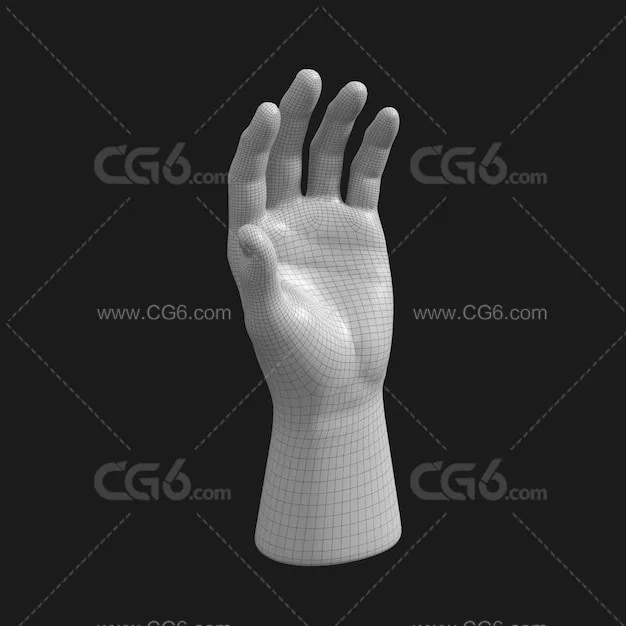 人体模型 模特手 模特手-4
