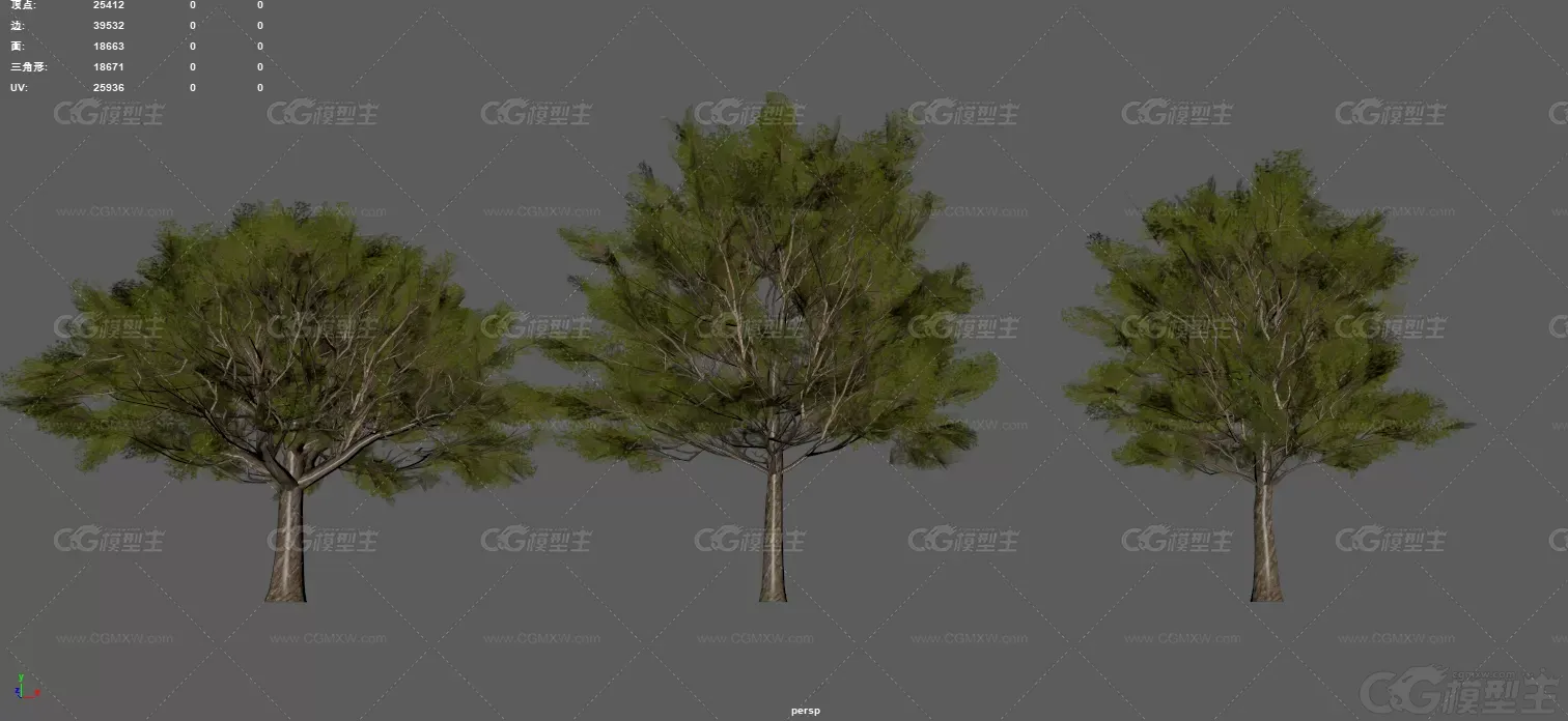 树 植物 小树 大树 老树 四季树 常青树 绿树 白杨树 园林树木 古代树木 桦树 游戏...-2