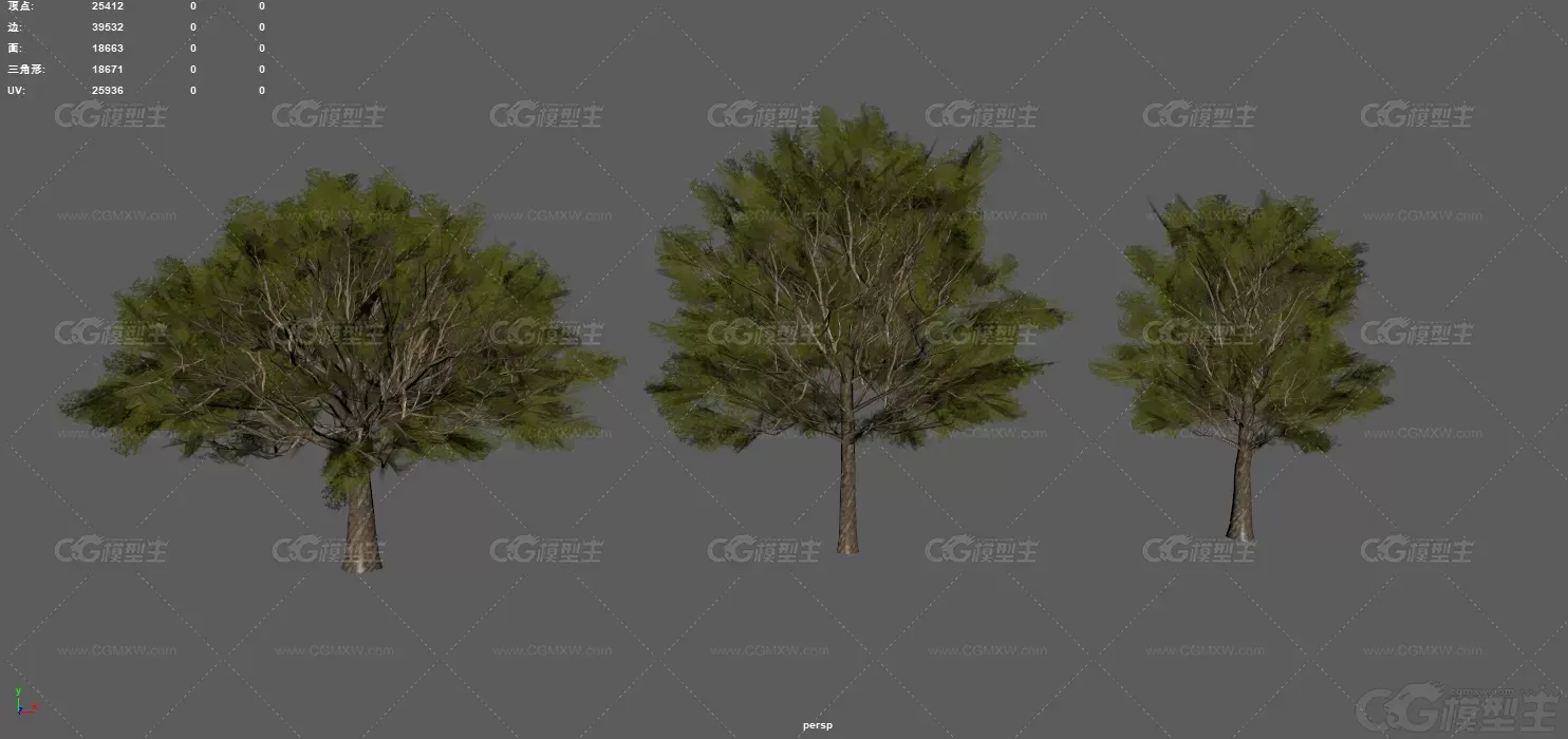 树 植物 小树 大树 老树 四季树 常青树 绿树 白杨树 园林树木 古代树木 桦树 游戏...-7
