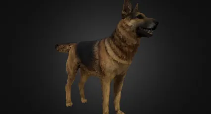 牧羊犬 猎犬 警犬 狼狗 德国牧羊犬 军犬 狼犬 缉毒犬 狗