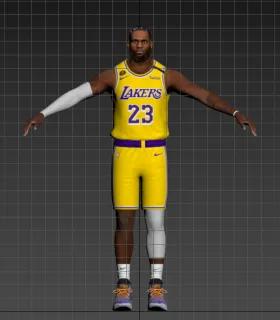 詹姆斯 LeBron james