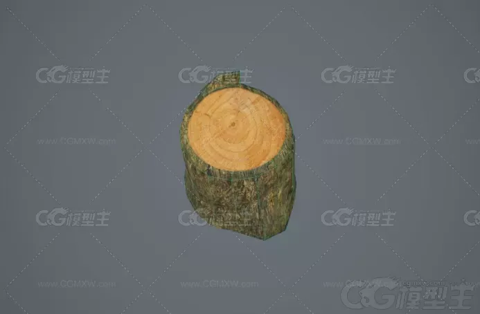 树桩3d模型-4