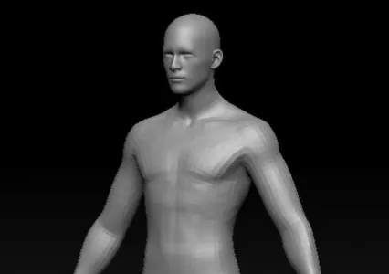 男人体 基础男人体
