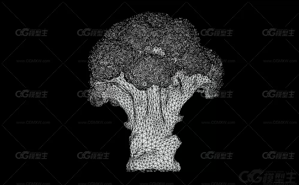 西兰花 菜花 蔬菜写实3D模型-3