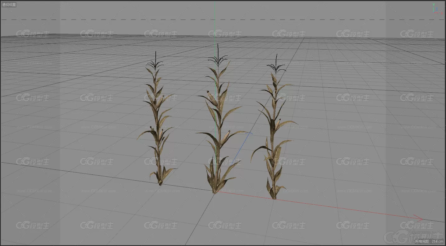 生存游戏   植物-2