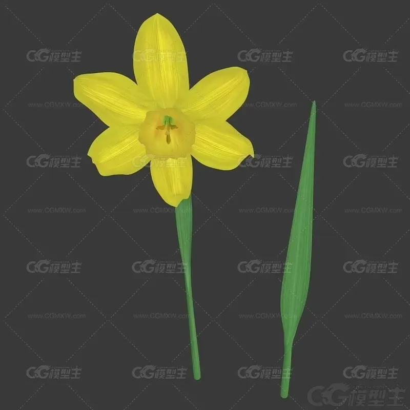 插花花瓶 水仙花 花瓶 水仙花油墨画3d模型-4