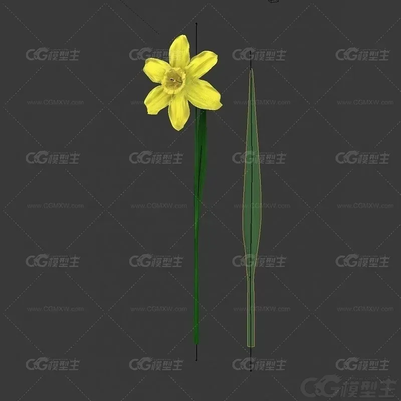 插花花瓶 水仙花 花瓶 水仙花油墨画3d模型-2
