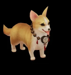 狗 哈士奇 可爱萌宠 狗狗 柯基犬 宠物狗