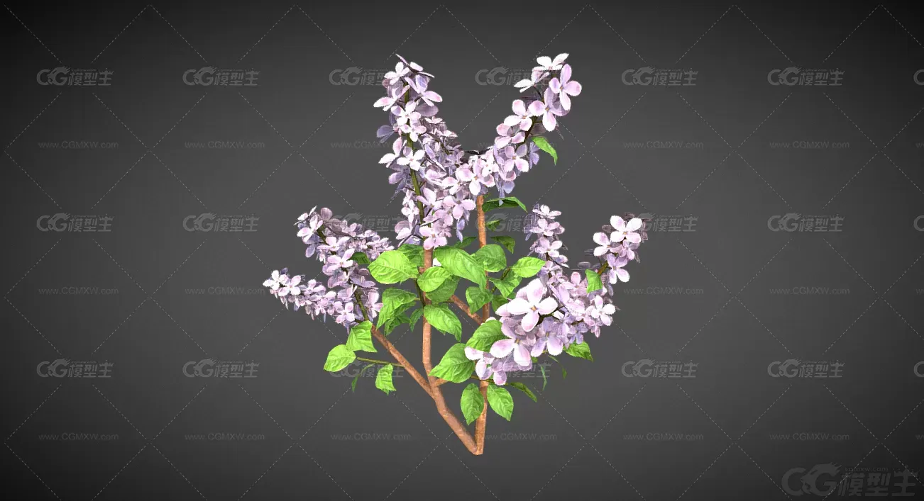 丁香 紫丁香 落叶灌木 小乔木 植物 花朵 灌木 紫色丁香花 花艺 草本植物 植物花卉-1