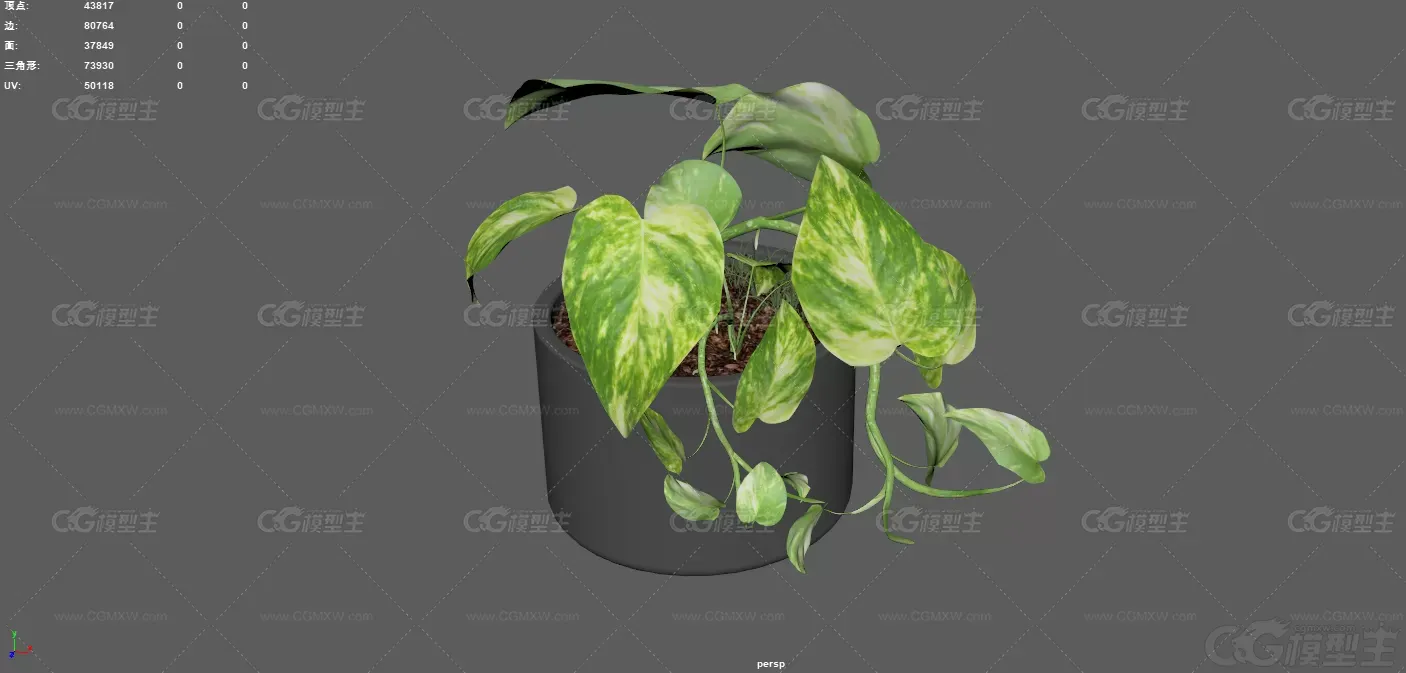 盆景 室内植物 绿色植物 现代绿植 装饰盆景 盆栽植物 室内花卉 花草 大叶植物-2