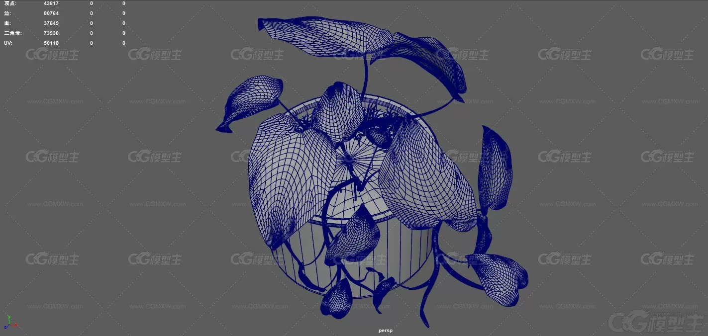 盆景 室内植物 绿色植物 现代绿植 装饰盆景 盆栽植物 室内花卉 花草 大叶植物-11