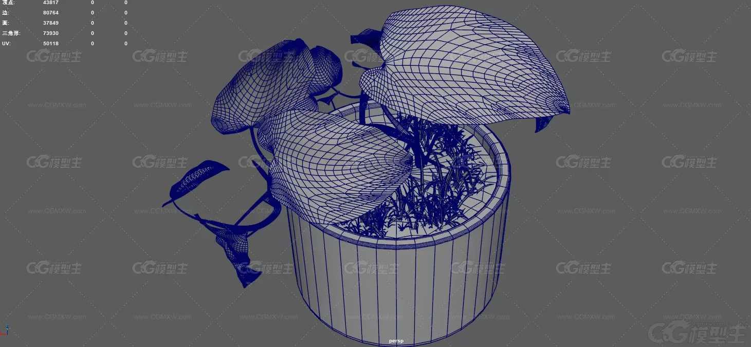 盆景 室内植物 绿色植物 现代绿植 装饰盆景 盆栽植物 室内花卉 花草 大叶植物-12