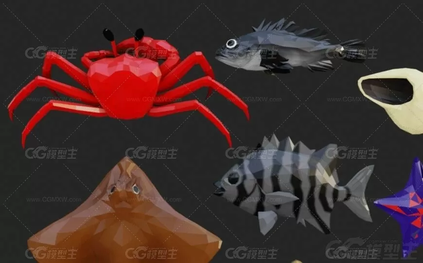 低面海洋生物3D模型C4D卡通海龟多宝鱼鱿鱼石斑鱼螃蟹海星贝壳Lowpoly卡通3D模型-2