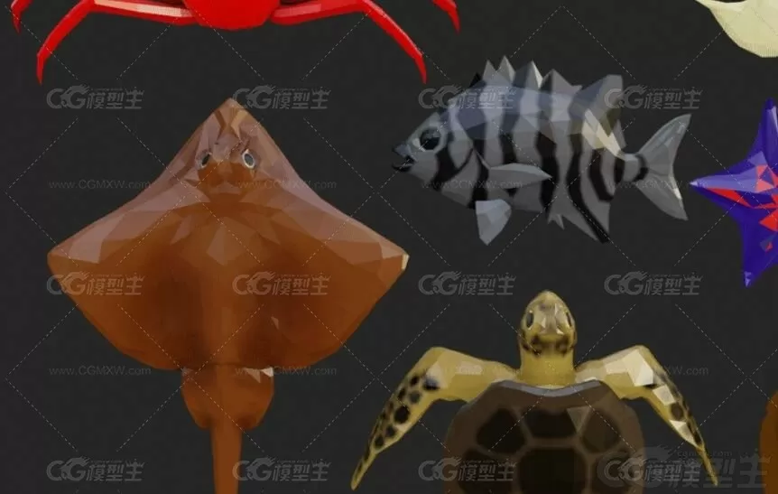 低面海洋生物3D模型C4D卡通海龟多宝鱼鱿鱼石斑鱼螃蟹海星贝壳Lowpoly卡通3D模型-4