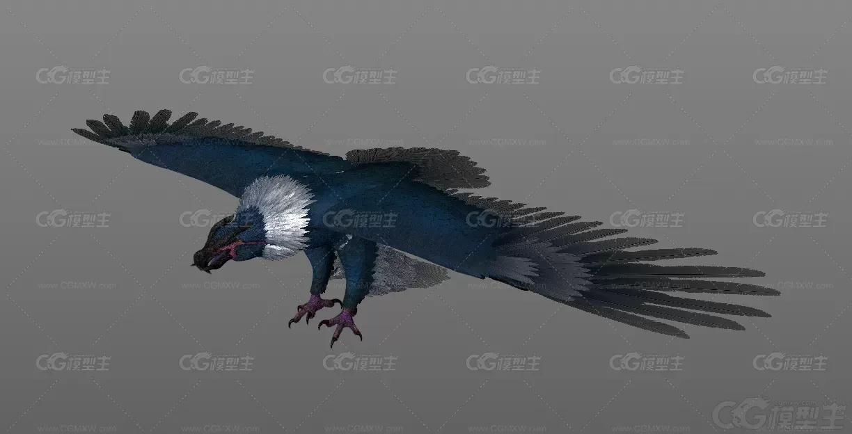 鹰隼 老鹰 妖兽 魔兽 飞鹰游戏3d模型-1