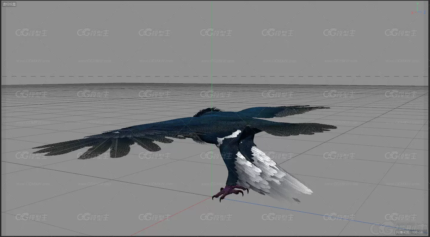 鹰隼 老鹰 妖兽 魔兽 飞鹰游戏3d模型-3
