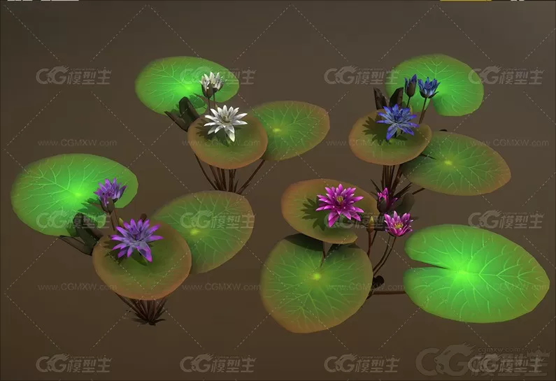 低面莲花模型C4D卡通睡莲Blender池塘水生植物Lowpoly卡通3D模型-1