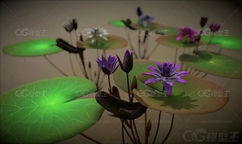 低面莲花模型C4D卡通睡莲Blender池塘水生植物Lowpoly卡通3D模型-2