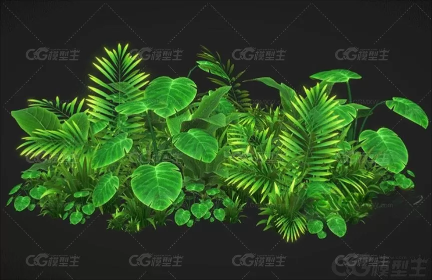 卡通 蕨类绿色植物模型C4D丛林沼泽水生杂草Lowpoly卡通3D模型-1