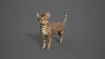 虎斑猫 小花猫 猫咪 宠物猫 小猫3D模型