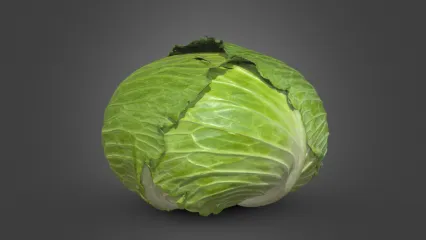 包菜 卷心菜 蔬菜 包菜 绿色食品 青菜3D模型