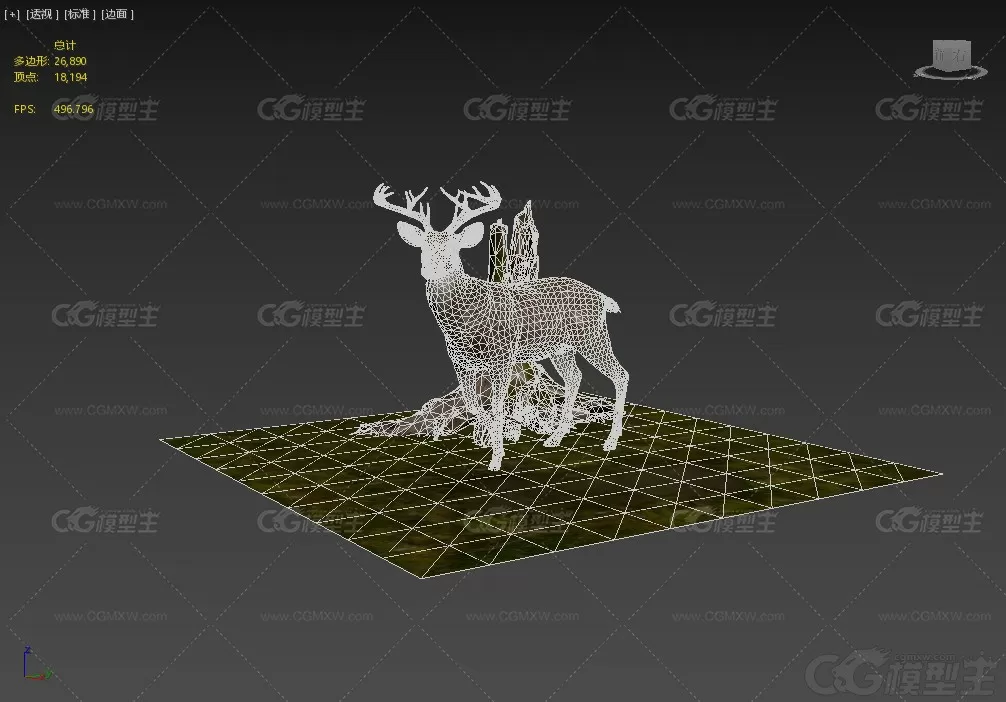 梅花鹿 鹿 麋鹿 雄鹿 小鹿 公鹿 驯鹿 白臀鹿 Deer 动物3D模型-4