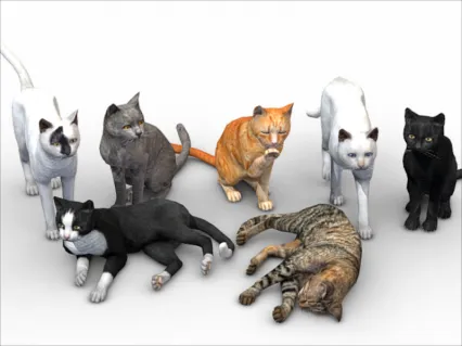 静态小猫模型C4D写实猫咪Blender黑白灰色豹猫儿3D模型