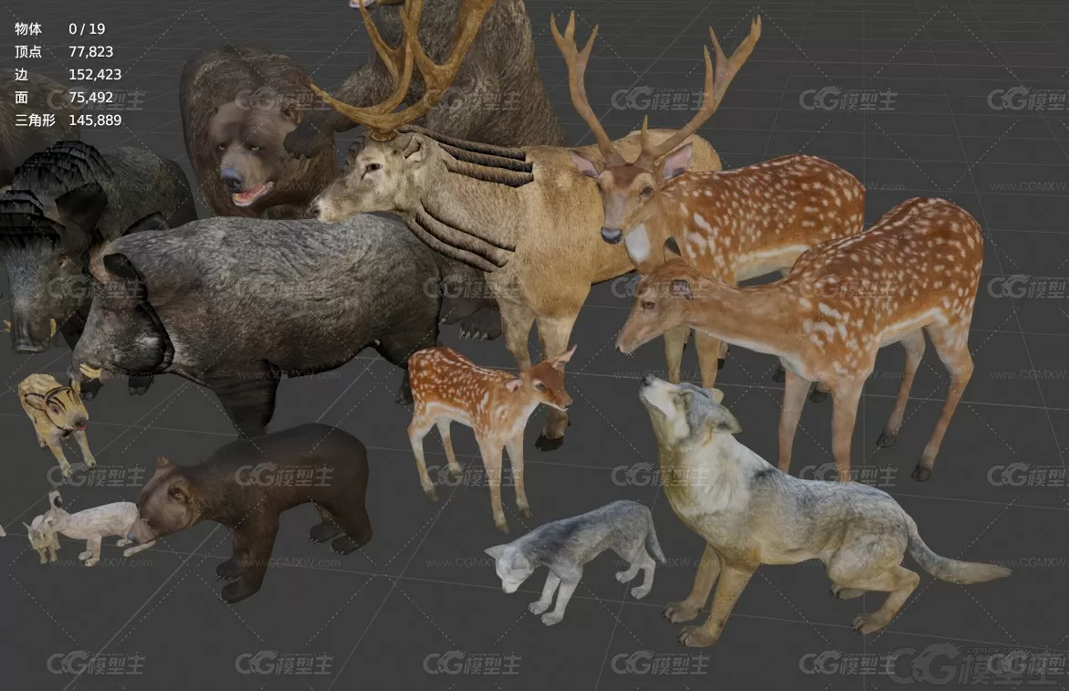 写实森林动物模型C4D野猪熊Blender麋鹿兔子FBX狐狸狼棕熊3D模型-5