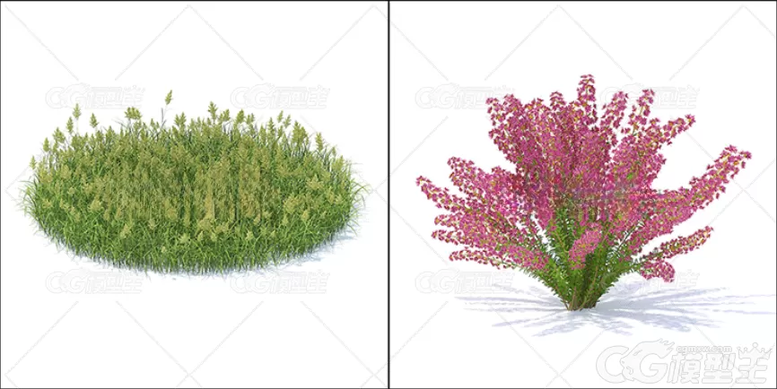 写实3D花草植物模型C4D草坪草地野花野草FBX格式OBJ设计素材文件-3