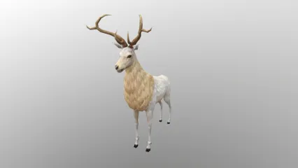 神鹿 仙鹿 神灵 灵兽 3d模型